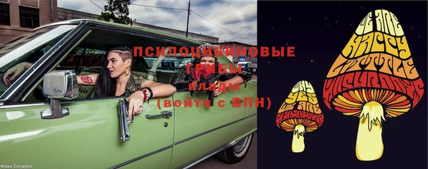 сатива Алексеевка