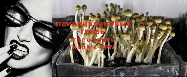 амф Абинск