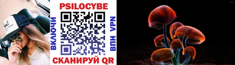 площадка как зайти  Чухлома  Псилоцибиновые грибы MAGIC MUSHROOMS 